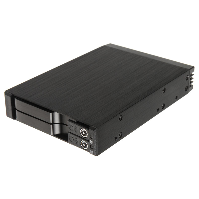 Silverstone SST-FS202B 3,5 Zoll Hot-Swap für 2x 2,5 Zoll HDD/SSD