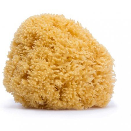 Suavi Natural Large Sponge
