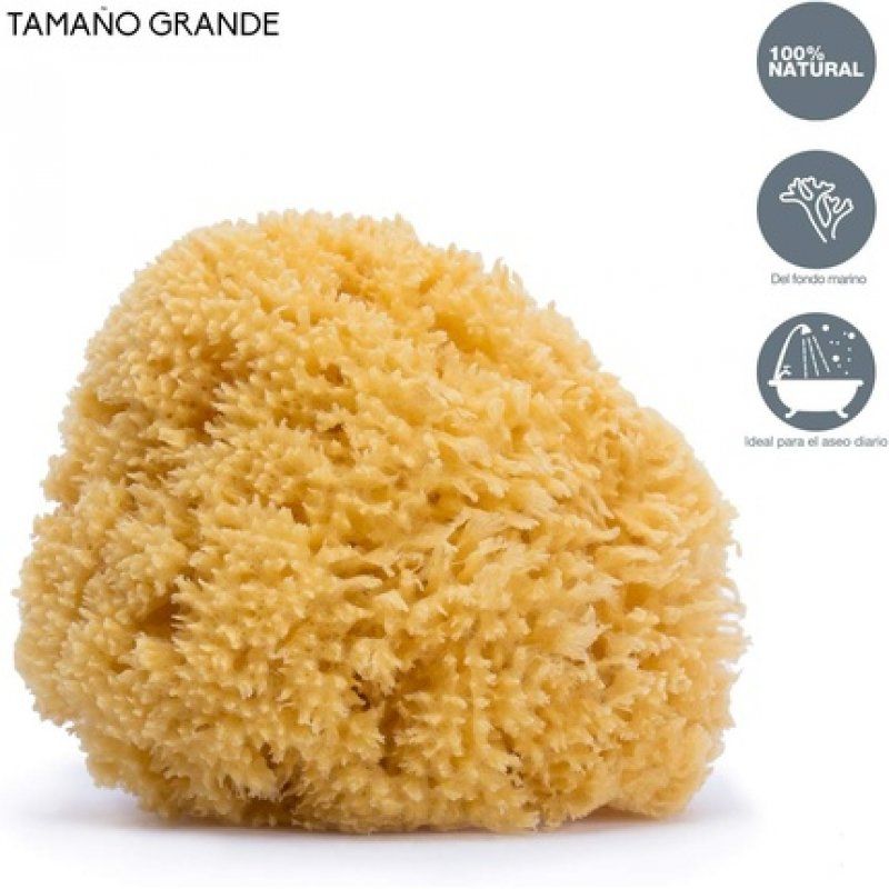Suavi Natural Large Sponge