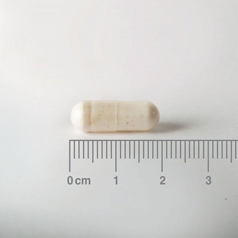 Lamberts Probiotic Biome Balance 25 Billion Live Bacteria Formula 60 Caps