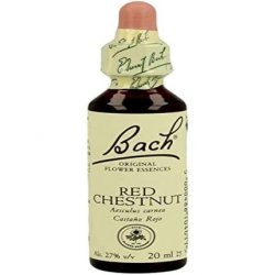 Flower Bach Bach 25 Rouge-Brun 20ml