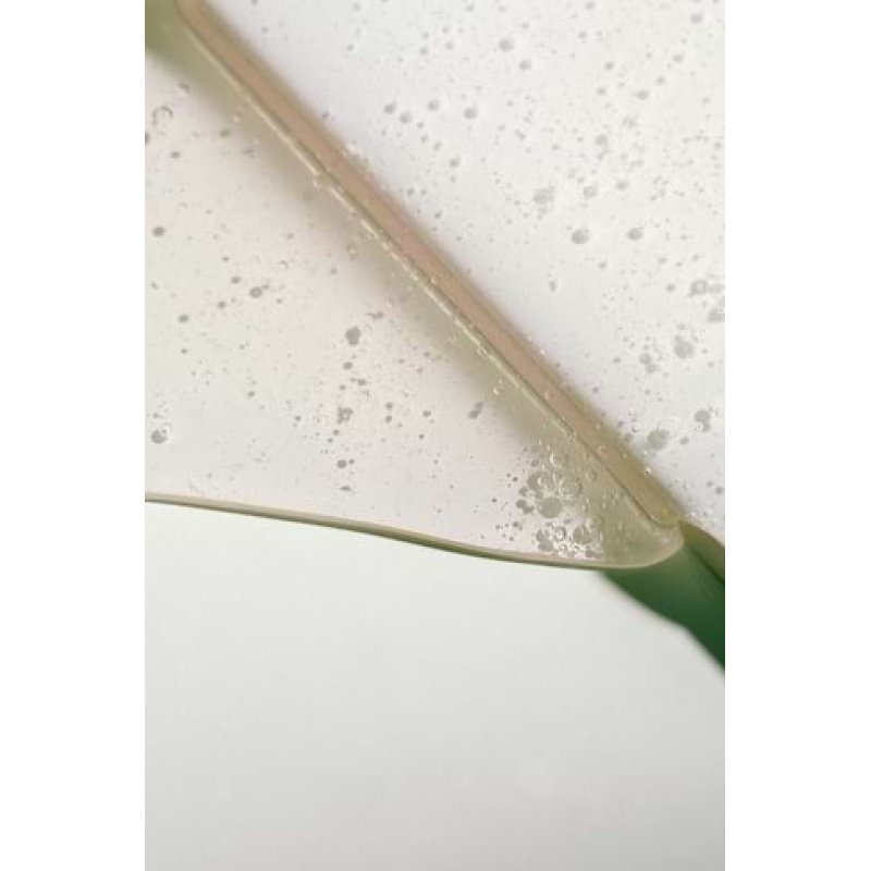 Madara Bio Natural Wild Forest Moisture Body Wash 500ml Smooth Skin