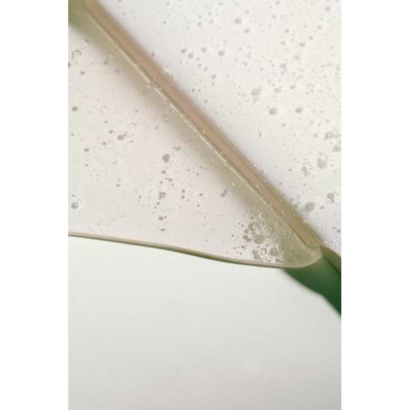 MÁDARA Cosmetics Wild Woods Moisture Wash 500 ml Gel douche Femmes Corps