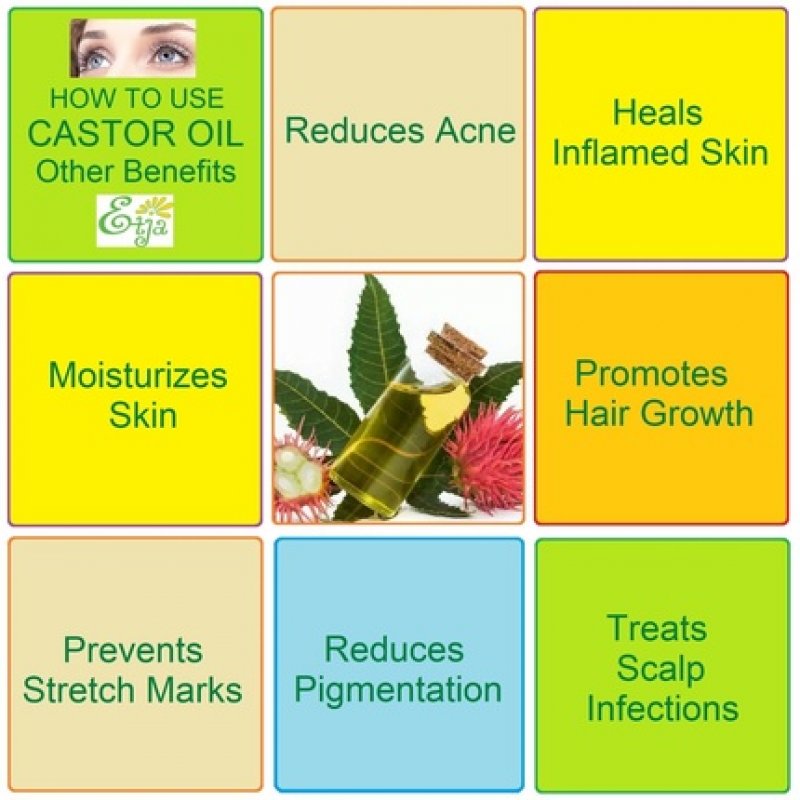 Autumn Leaves Canvas Art Print 61cm X 40.6cm Unframed