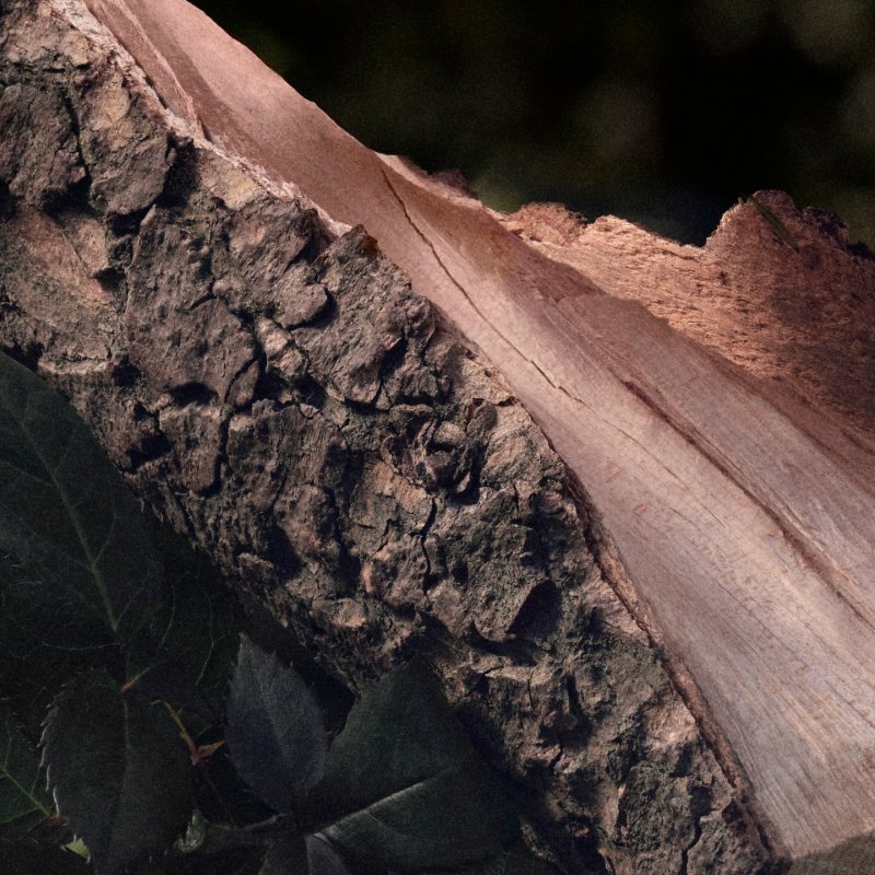 Chloé Rose Naturelle Eau de Parfum 150 ml Femmes