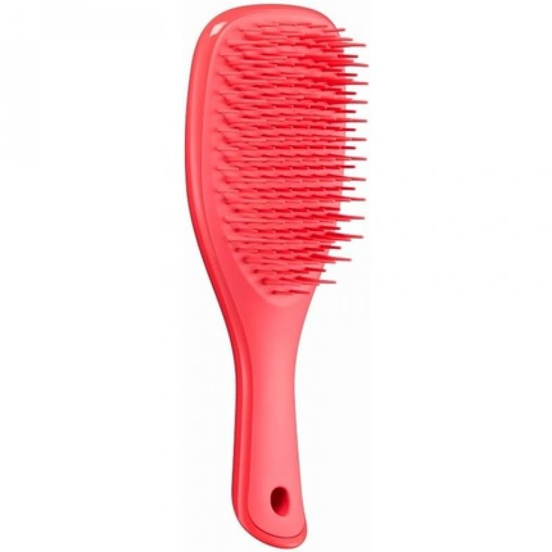 Tangle Teezer The Mini Wet Detangler Hairbrush for Wet & Dry Hair Pink Punch