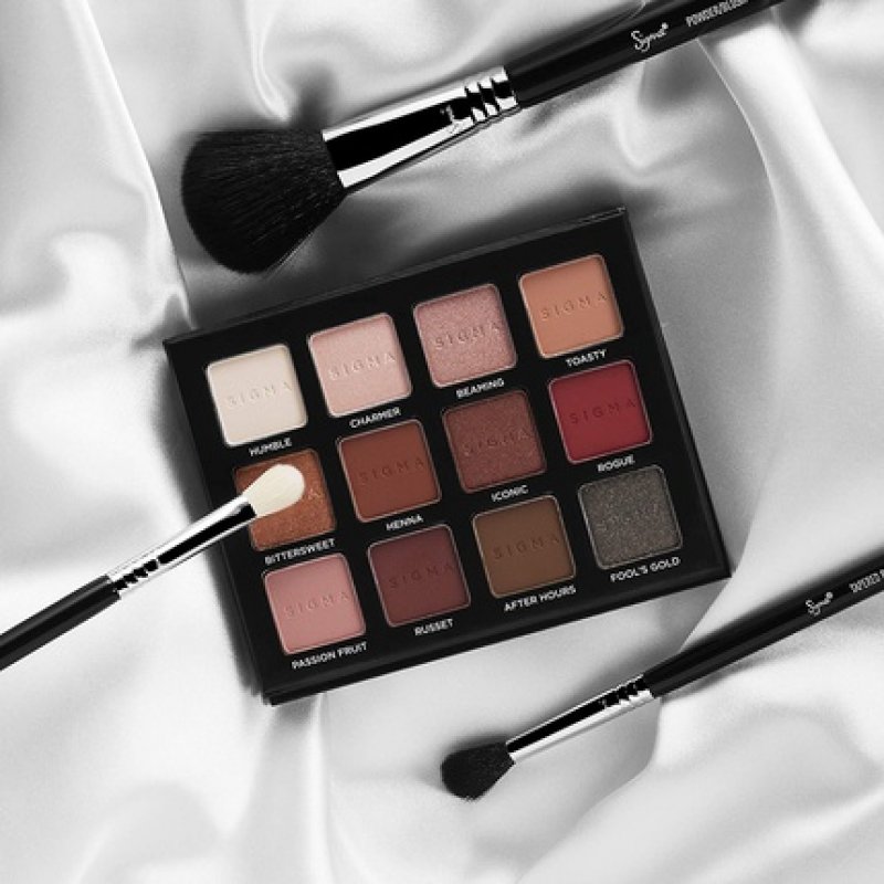 Sigma Tapered Blending Brush SS224/E40 Cosmetic Brush - Black