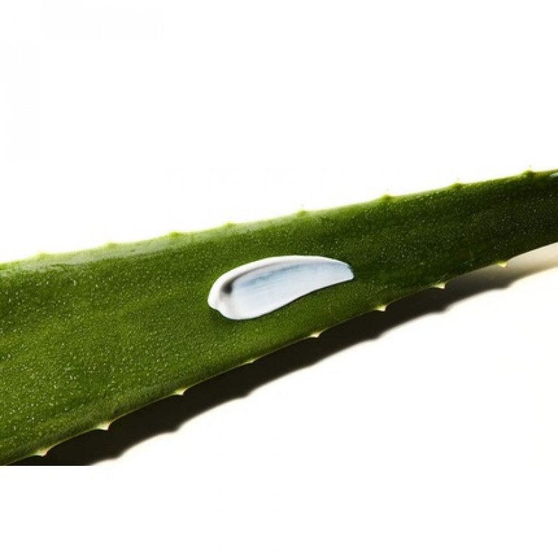 Aloe Soothing Sun Cream SPF50 /PA 