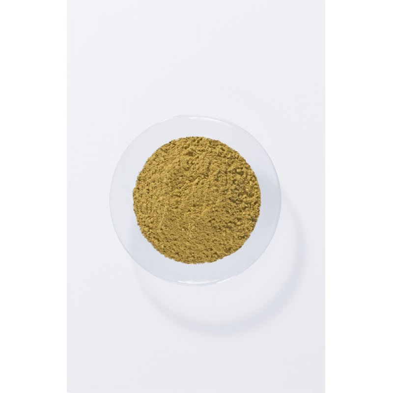 Khadi Pure Henna Plant Hair Color 100g - Natural and Vegan Hair Dye for Exciting Orange-Red to Intensely Bright Flame