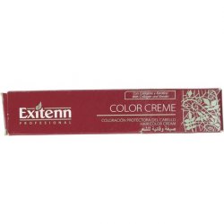 Exitenn Color Creme 60ml 672 Dark Blonde Chocolate