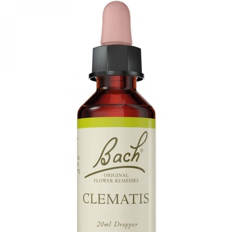 Bach Original Flower Remedy Clematis Vegan Formula 20ml