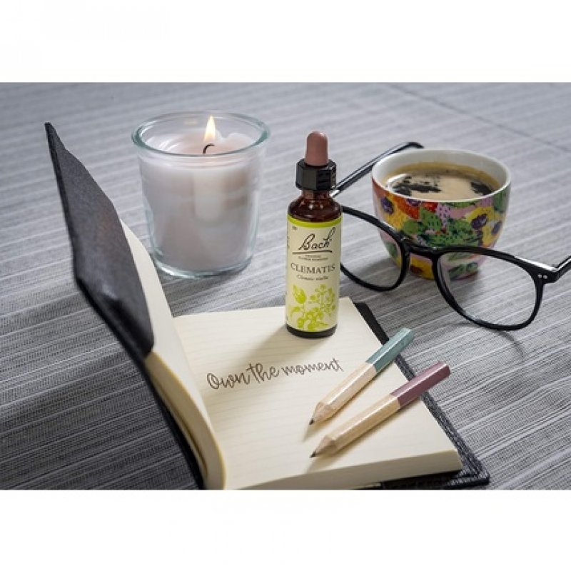 Bach Original Flower Remedy Clematis Vegan Formula 20ml