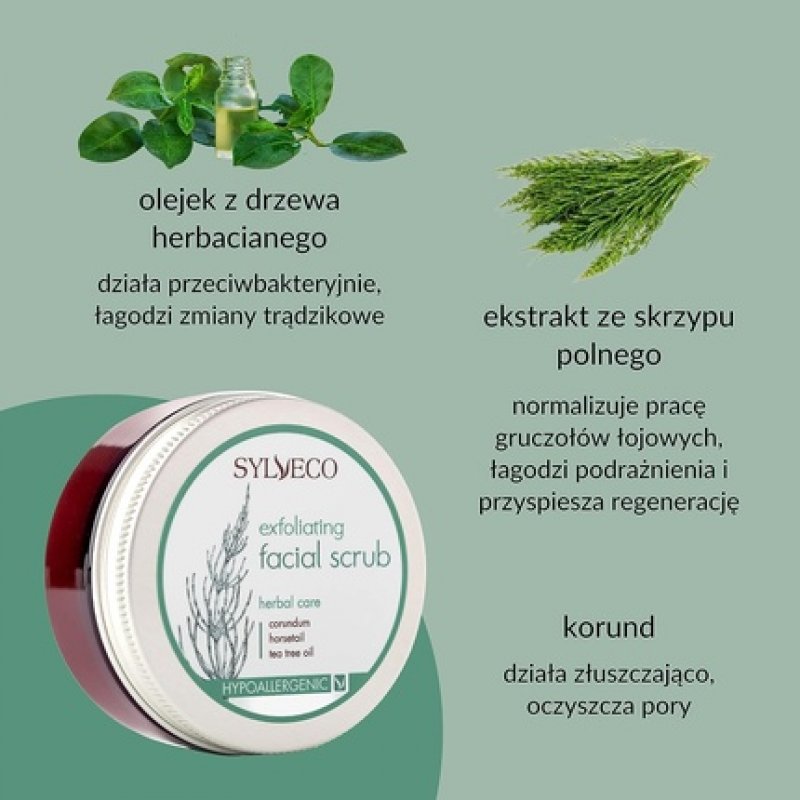 Sylveco Cleansing Face Scrub 75ml