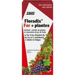 Floradix Liquid Iron and Vitamin Formula 250ml 8.5 Fl Oz