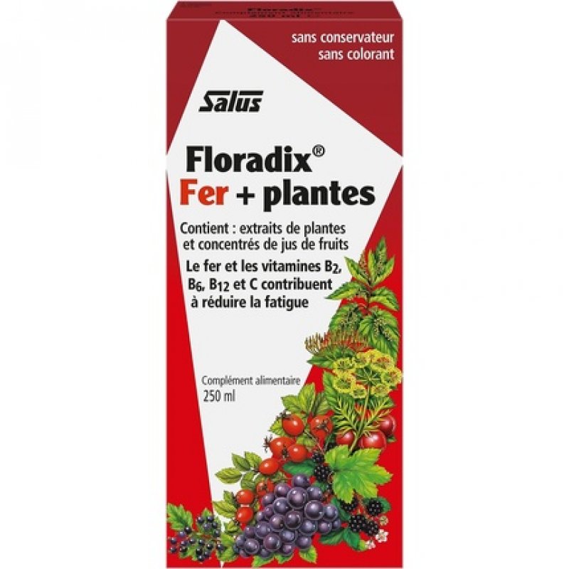 Floradix Liquid Iron and Vitamin Formula 250ml 8.5 Fl Oz