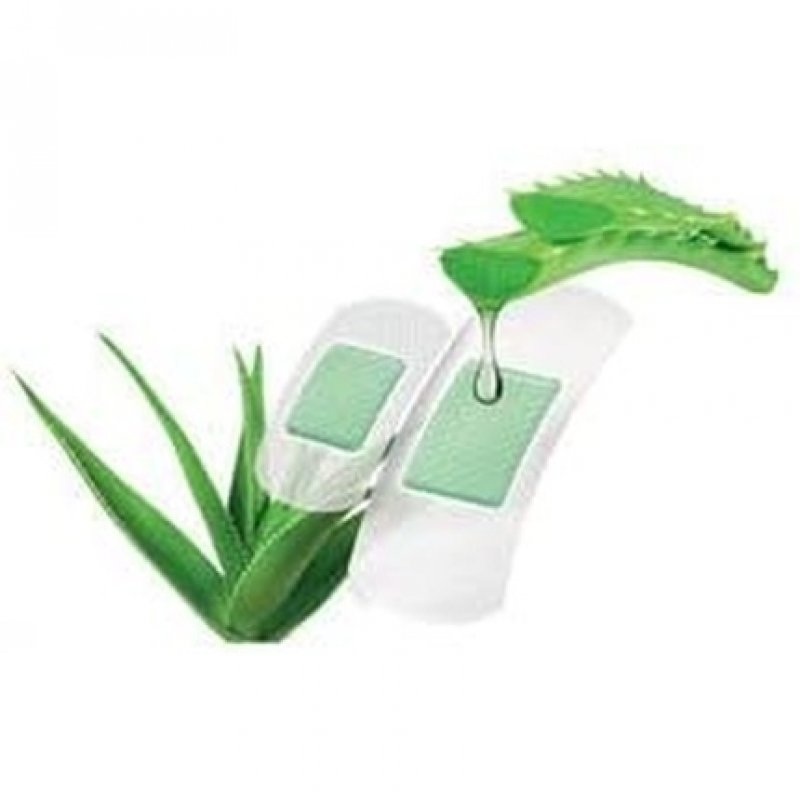 Lifemed GmbH Aloe Vera Plaster Strips 2 Sizes