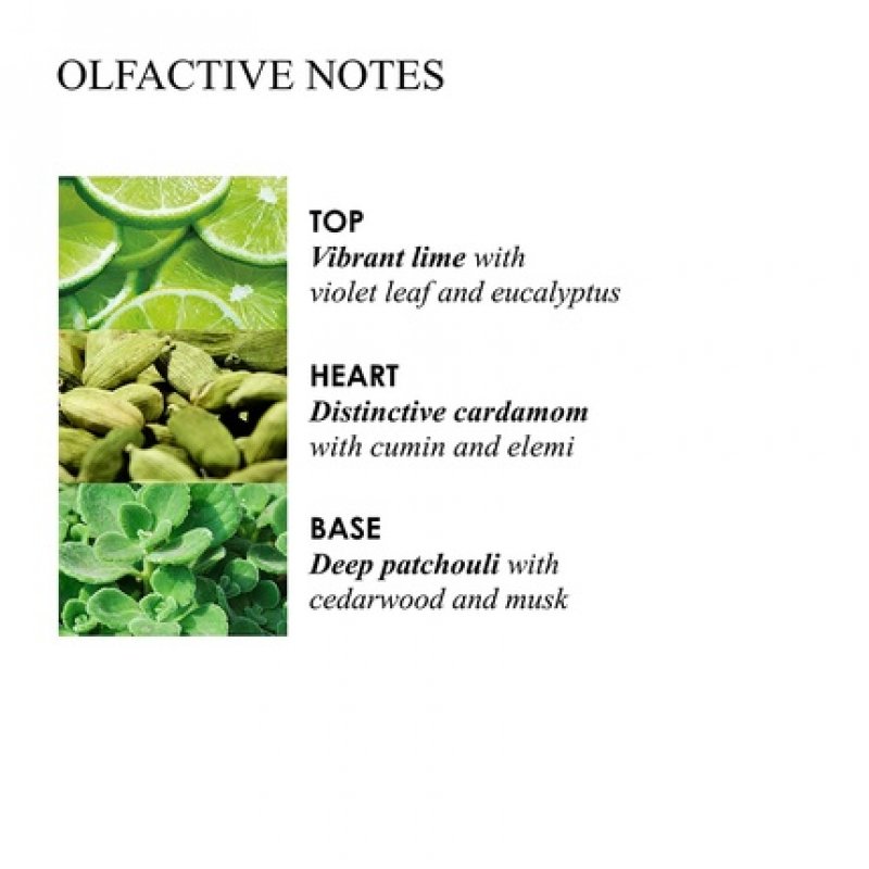 Molton Brown Lime & Patchouli Hand Lotion 300ml