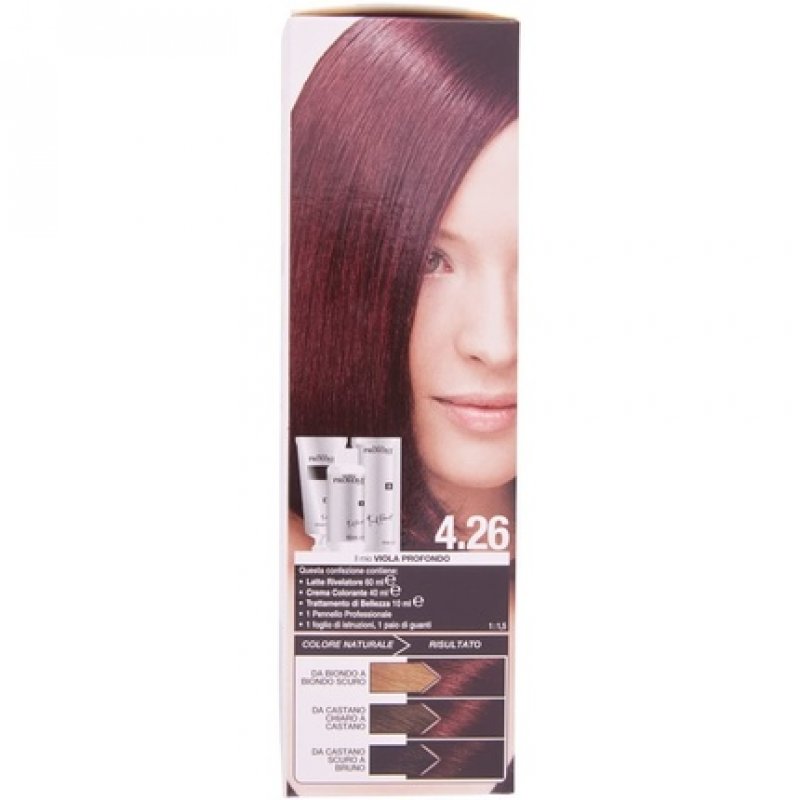 Franck Provost N 4.26 Permanent Professional Hair Dye Coloring Deep Purple