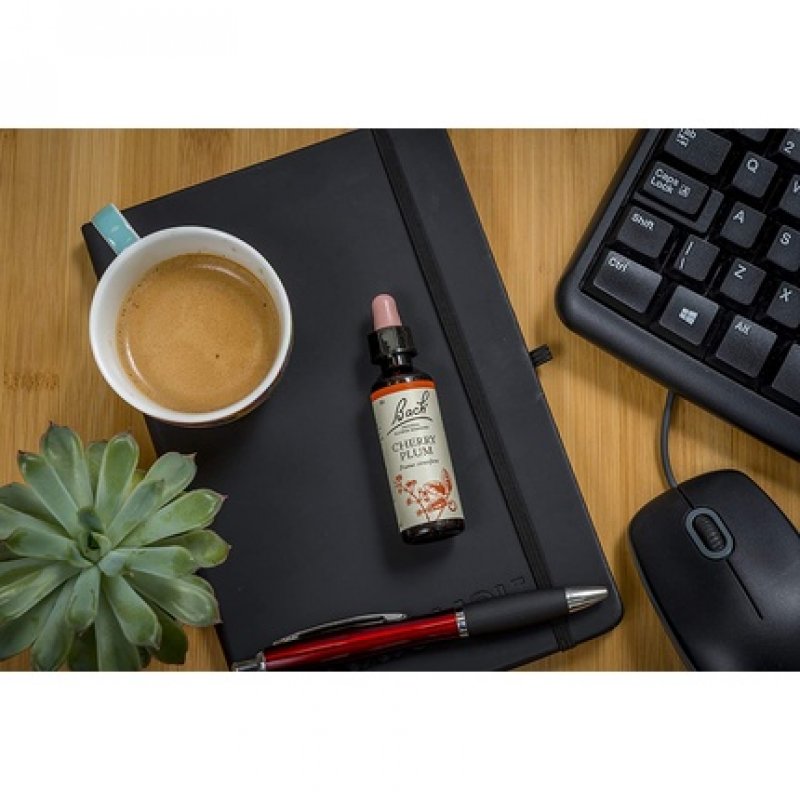 Nelson Homeopathics Bach Flower Cherry Plum 50ml