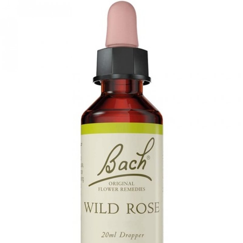 Bach Original Flower Remedy Wild Rose Vegan Formula 20ml