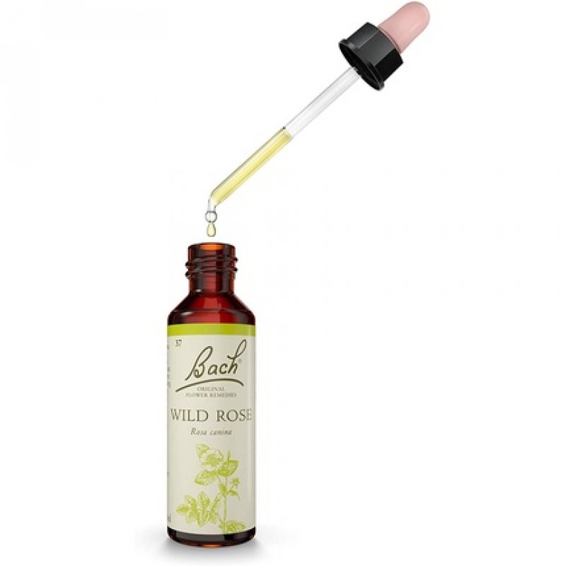 Bach Original Flower Remedy Wild Rose Vegan Formula 20ml