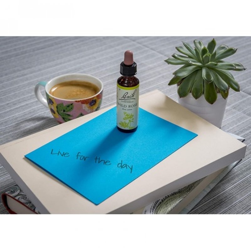 Bach Original Flower Remedy Wild Rose Vegan Formula 20ml