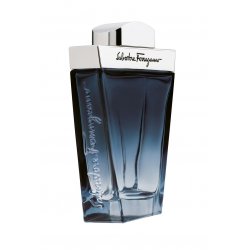 Salvatore Ferragamo Subtil 100 ml Men