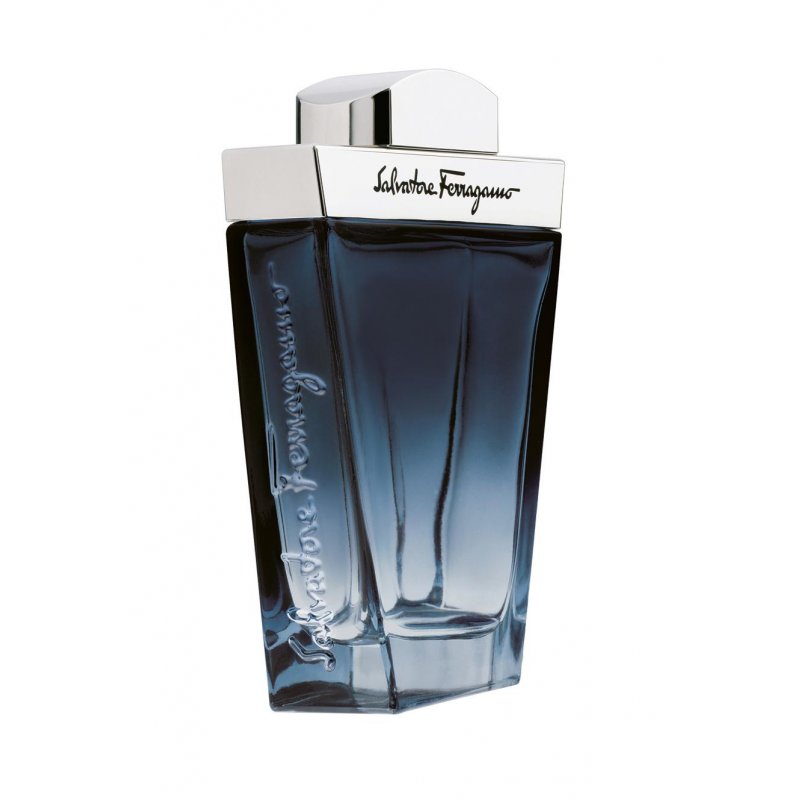 Salvatore Ferragamo Subtil 100 ml Men