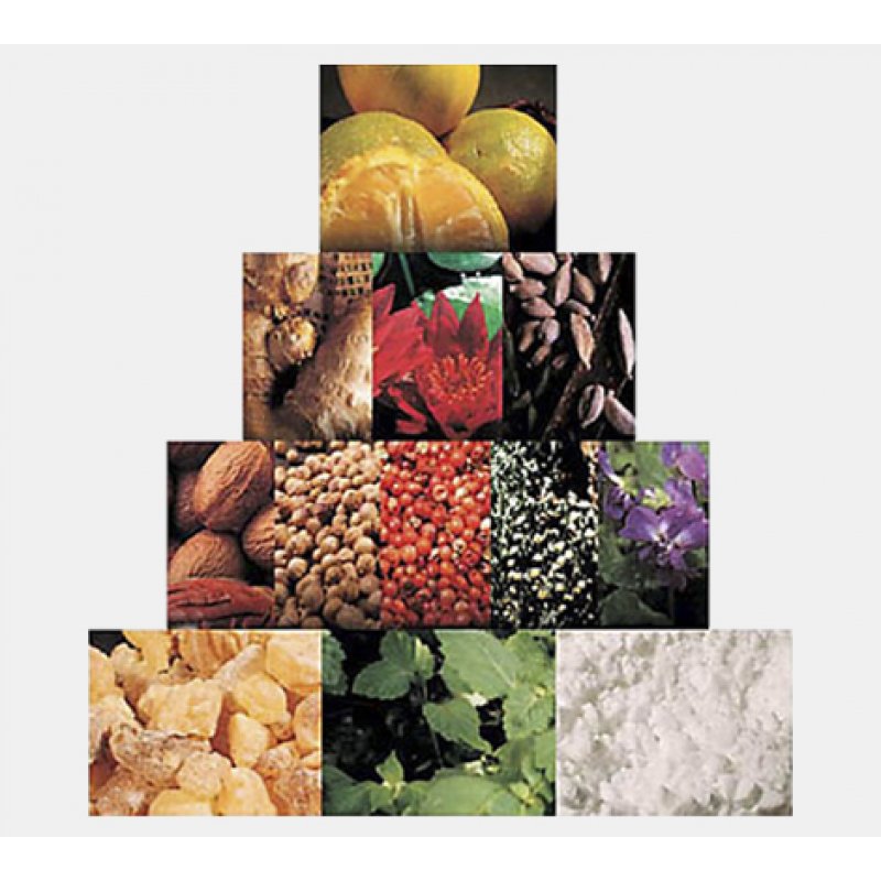 Salvatore Ferragamo Subtil 100 ml Men