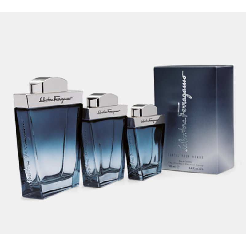Salvatore Ferragamo Subtil 100 ml Men
