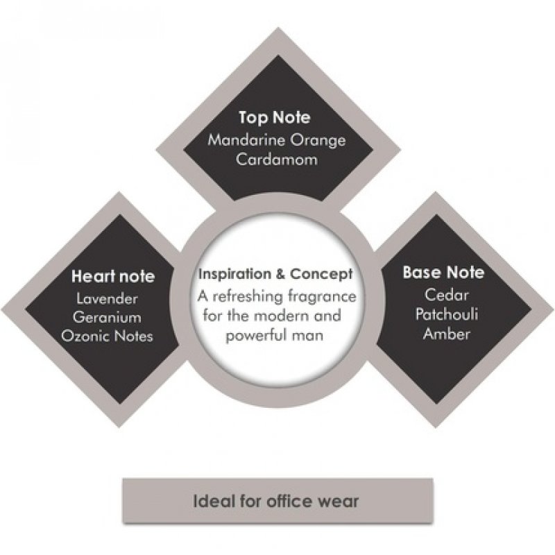 Porsche Design Palladium Eau de Toilette Spray for Men 100ml