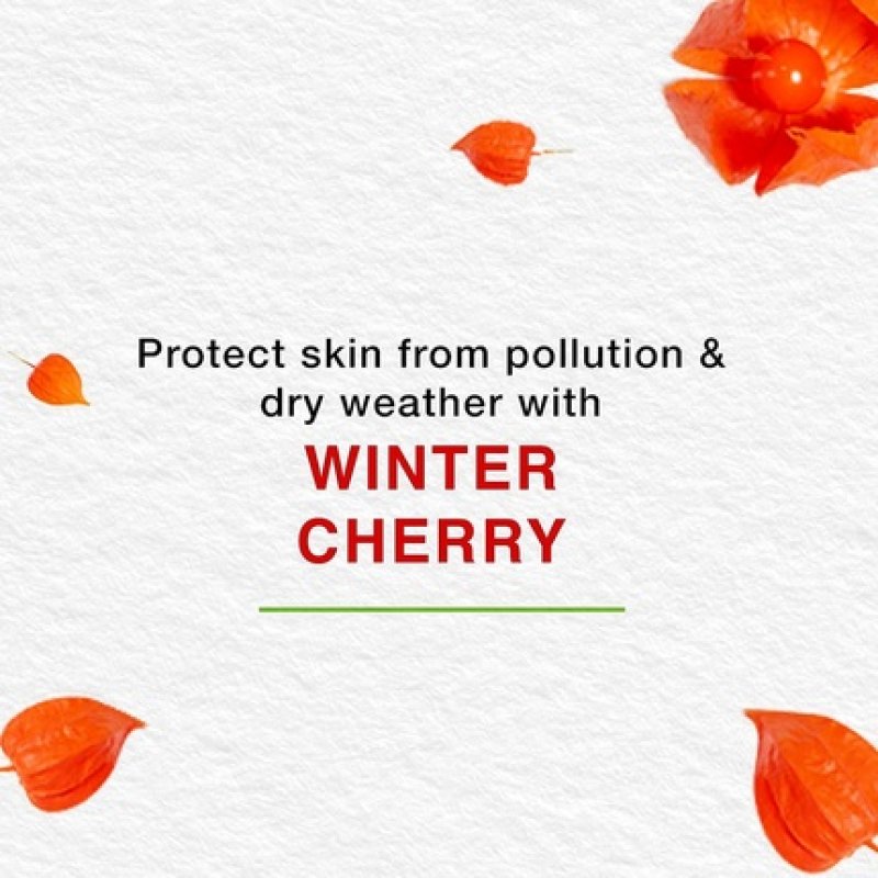 Himalaya Nourishing Skin Cream Light Daily Use Cream 150ml