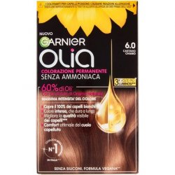 Garnier Hair Color Oil Tint 6.0 Light Brown 271g