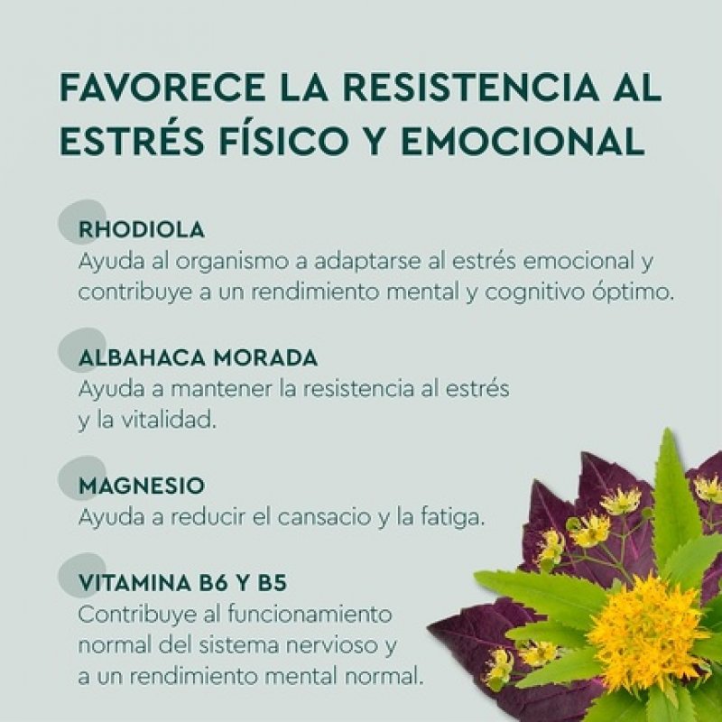 Kneipp Stress Balance 15 Tablets