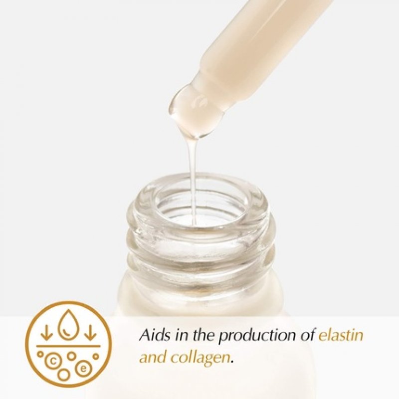 The Potions Q10 Ampoule for Face Antioxidant and Collagen Support Korean Skincare 20ml