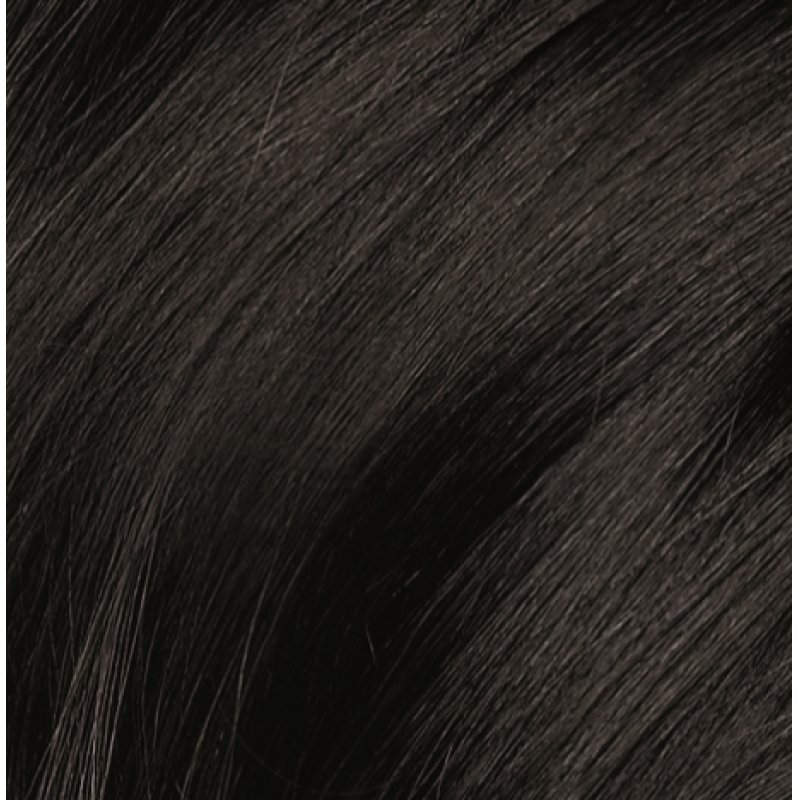 Naturtint Permanent 1N Ebony Black