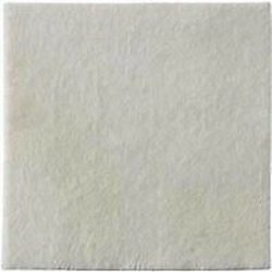 Biatain Alginate 10x10 10 Pieces