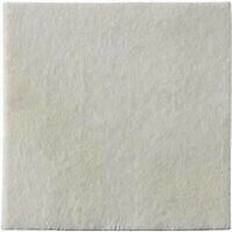 Biatain Alginate 10x10 10 Pieces
