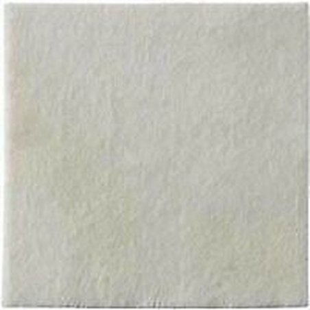 Biatain Alginate 10x10 10 Pieces