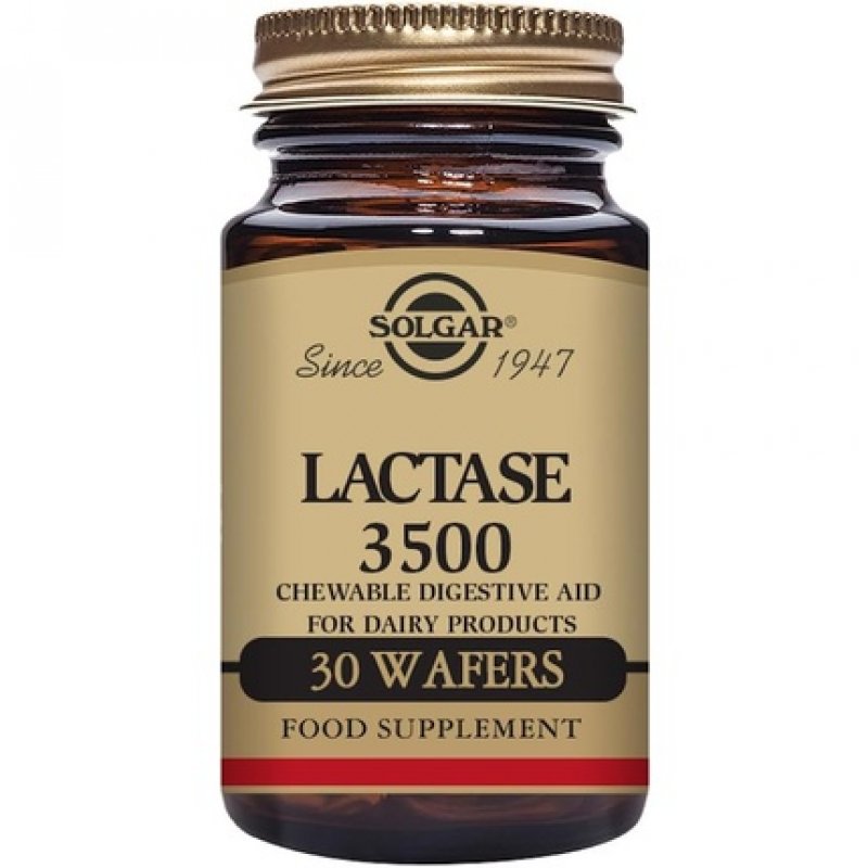 Solgar Lactase 3500 Wafers - Aids Dairy Digestion - Helps Break Down Sugar in Milk - Vegan and Kosher