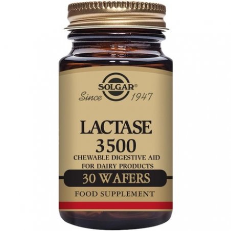 Solgar Lactase 3500 Wafers - Aids Dairy Digestion - Helps Break Down Sugar in Milk - Vegan and Kosher