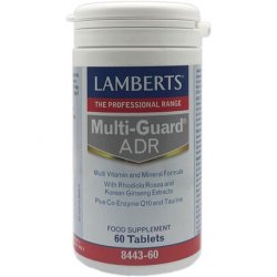 Lamberts Multi-Guard Adr 60 Tablets 130g