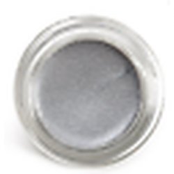 MAC Pro Longwear Paint Pot Eyeshadow Silver Screen 5g
