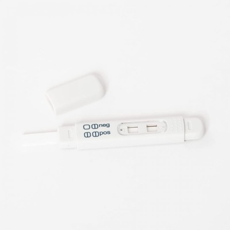Pregnancy Test Pic 1 Test