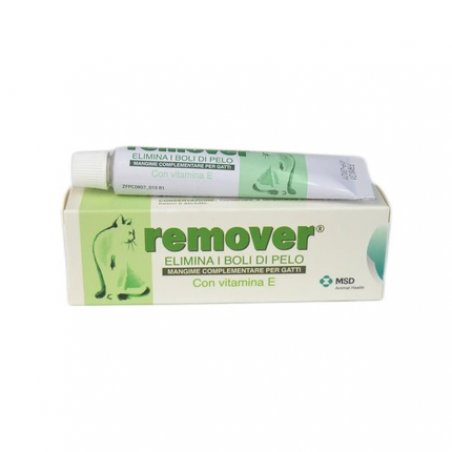 Remover MSD Paste 20g