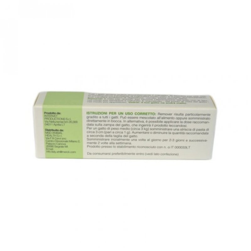 Remover MSD Paste 20g