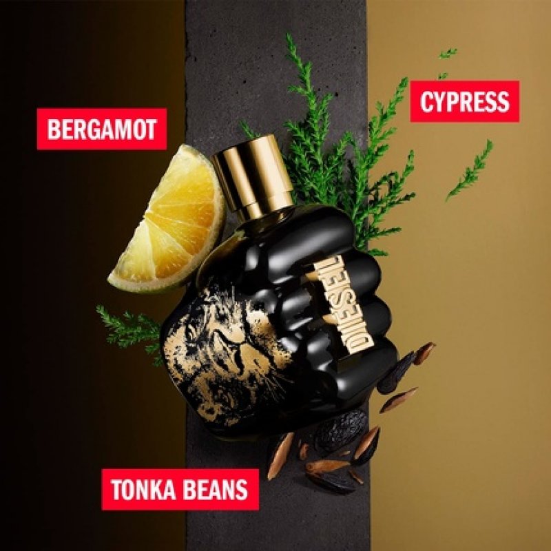 Diesel Spirit of the Brave Eau de Toilette Spray Cologne for Men - Cypress, Bergamot & Tonka Beans 1 Count