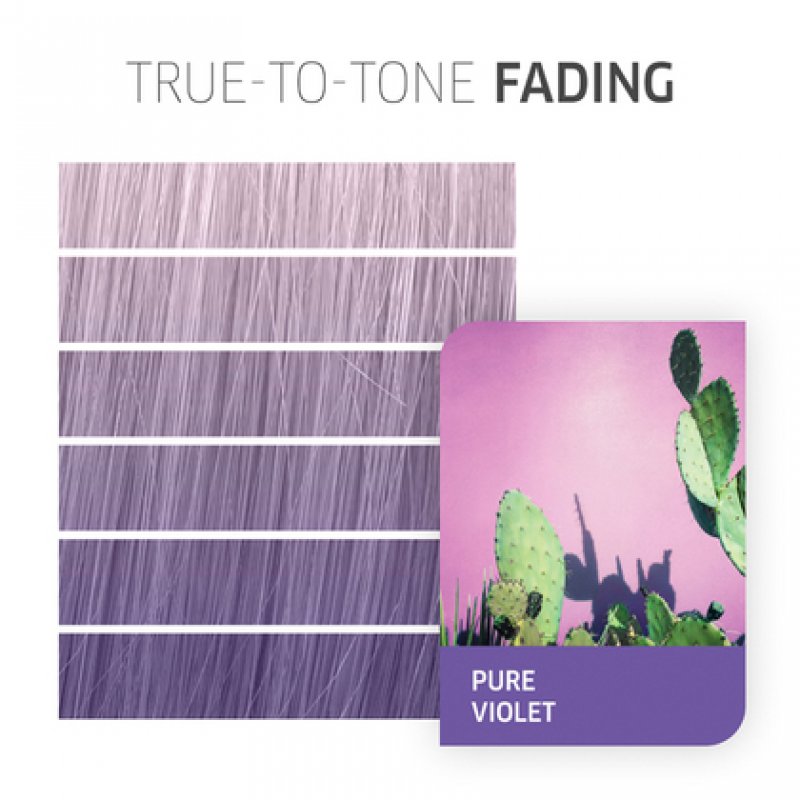 Wella Hair Color Fresh Create Pure Violet 60ml