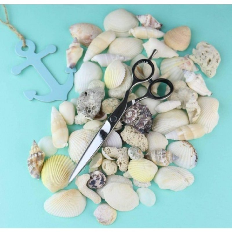 JAGUAR Silver Line Ocean Hairdressing Scissors 5.75-Inch Length 0.04203 kg