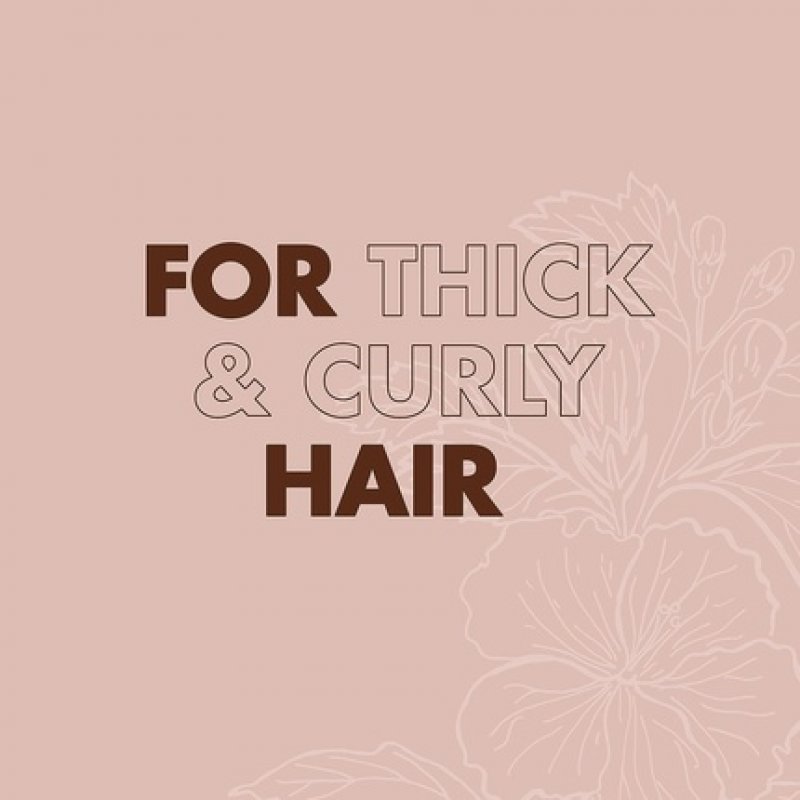 SheaMoisture Coconut & Hibiscus Curl Enhancer Smoothie for Thick, Curly Hair 326ml